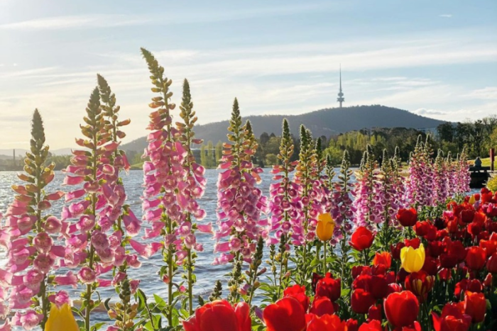 The best things to do in Canberra in spring 2022